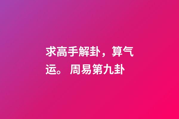 求高手解卦，算气运。 周易第九卦